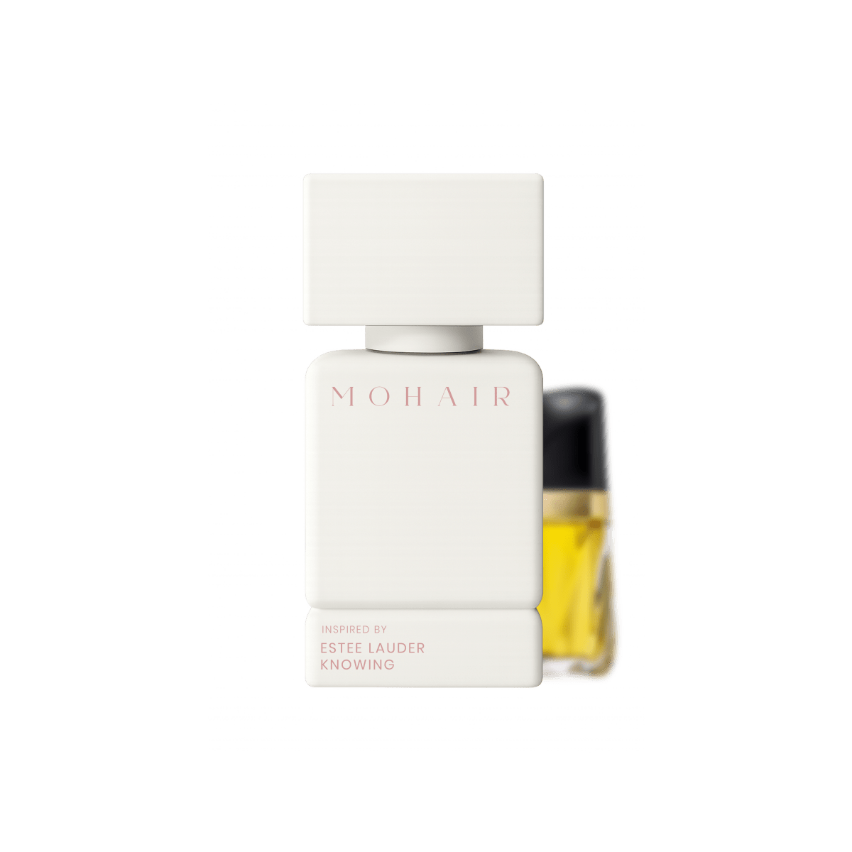 MOHAIR 0165 - Knowing - Mohair