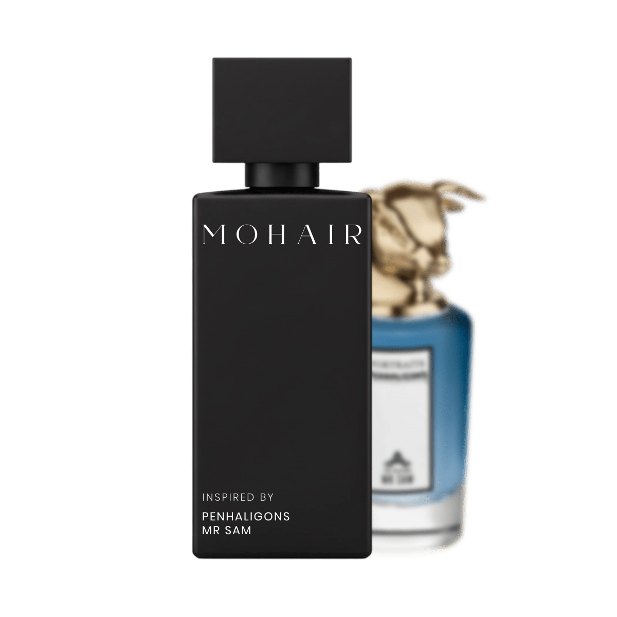 MOHAIR 0320 - Mr Sam - Mohair