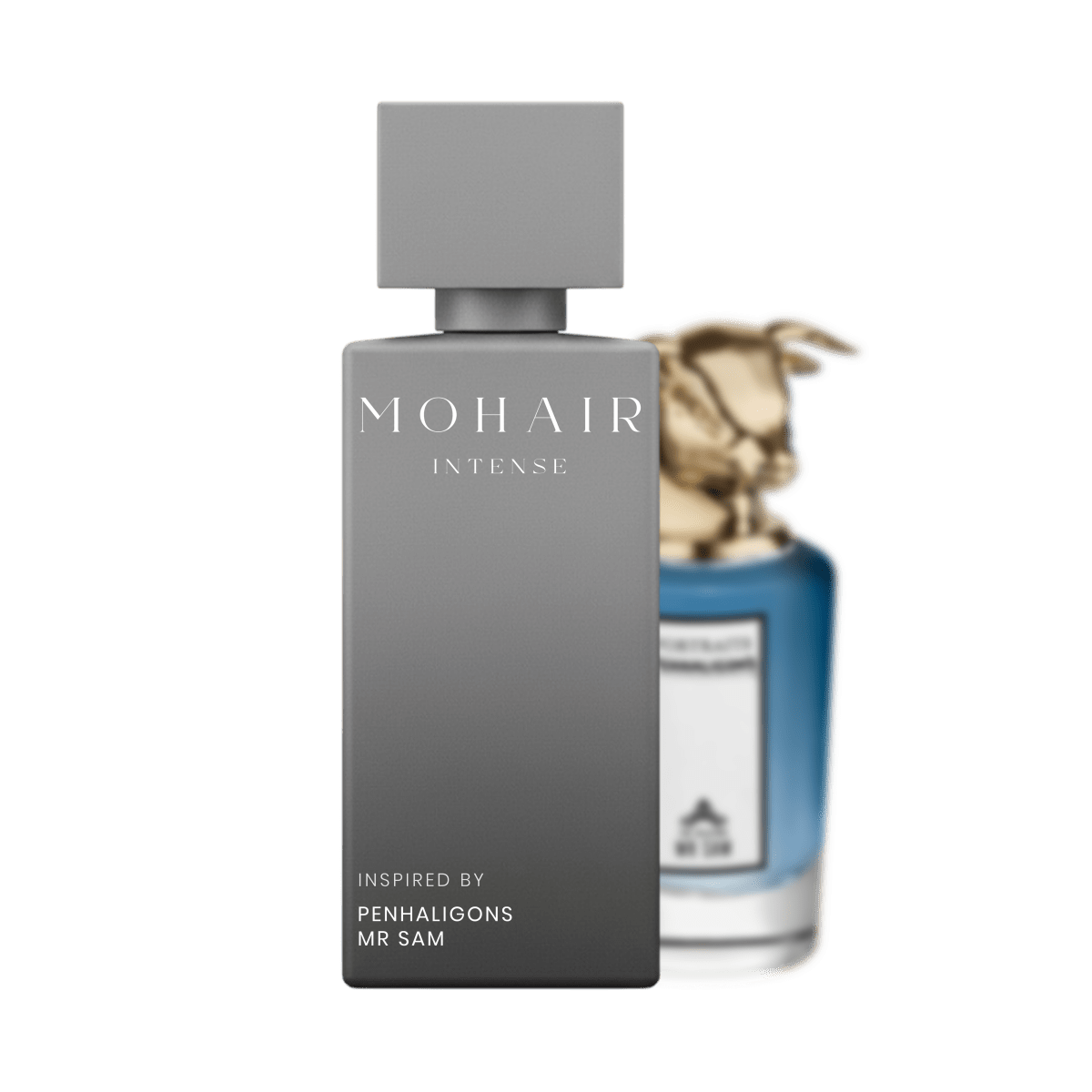 MOHAIR 0320 - Mr Sam - Mohair