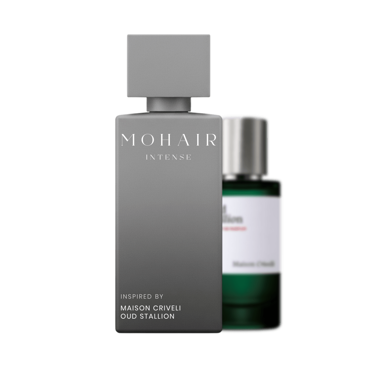 MOHAIR 0498 - STALLION OUD - Mohair