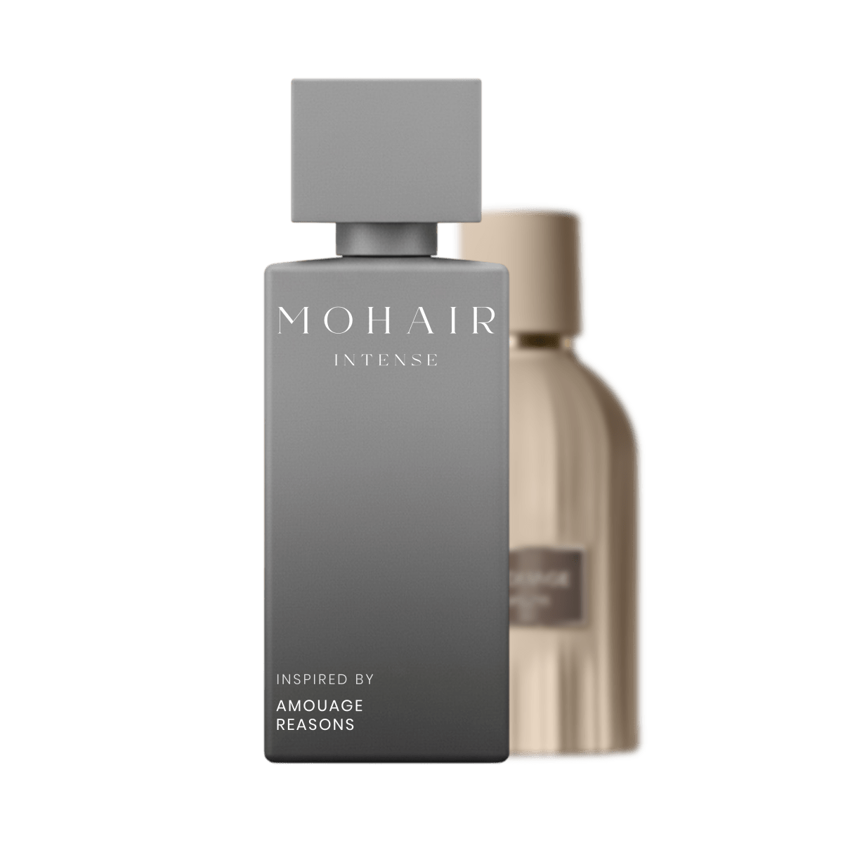 MOHAIR 0408 - REASONS - Mohair