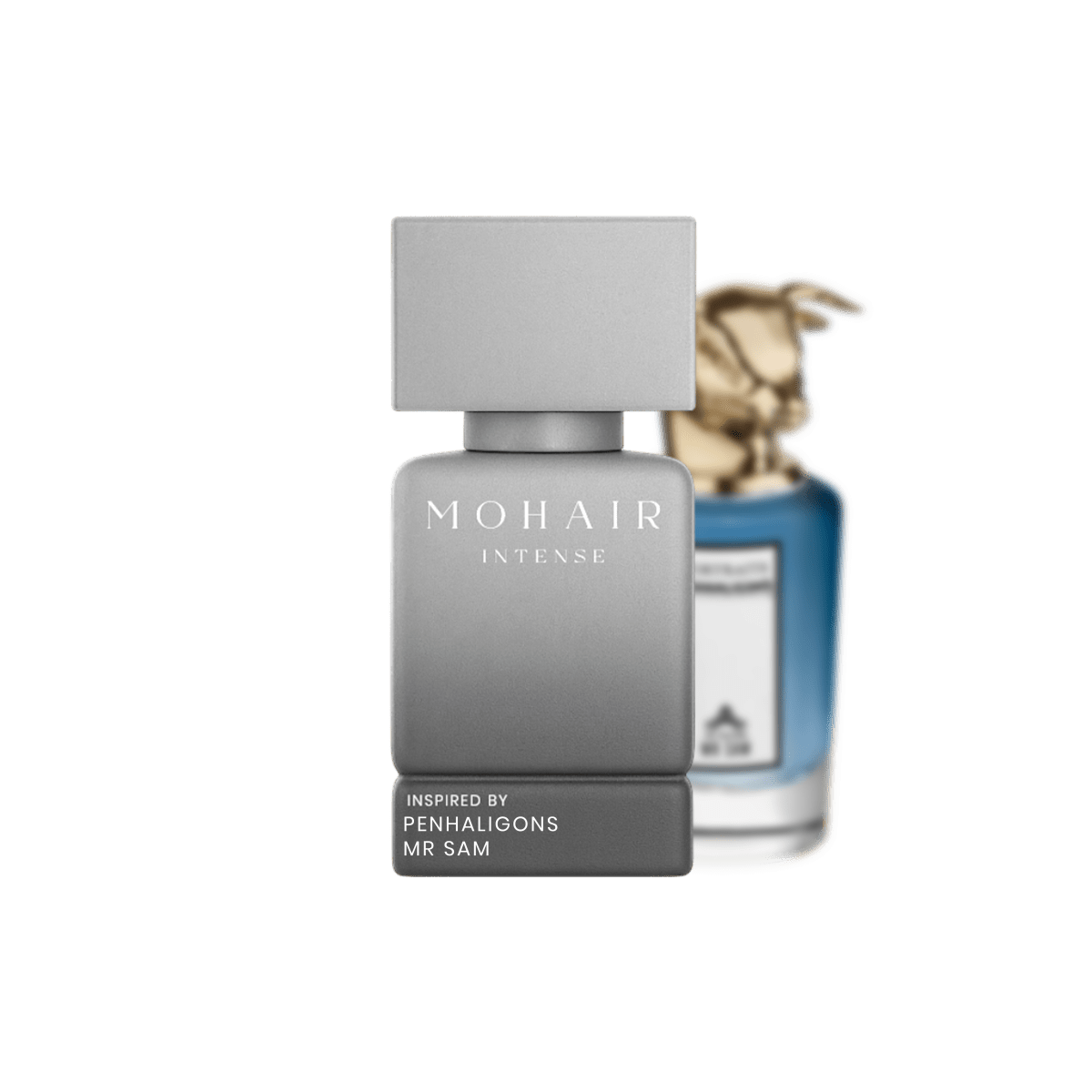 MOHAIR 0320 - Mr Sam - Mohair