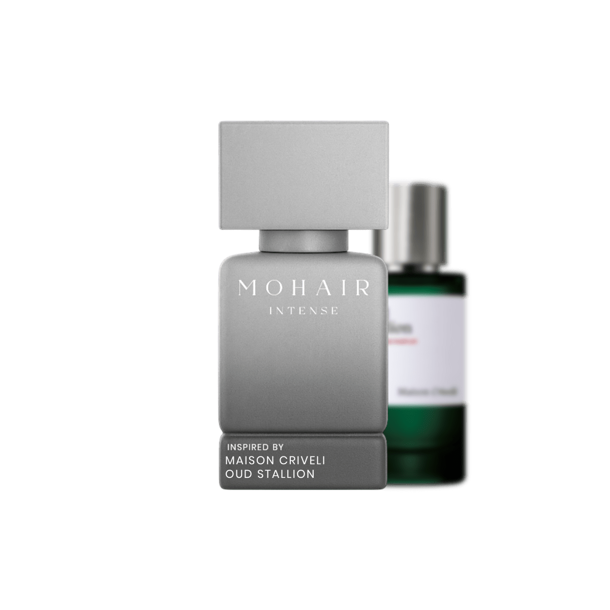 MOHAIR 0498 - STALLION OUD - Mohair