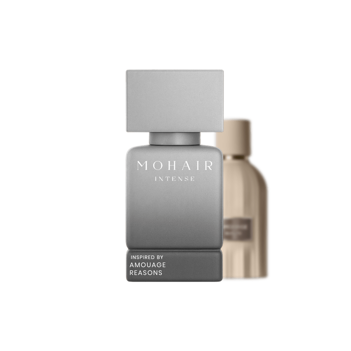 MOHAIR 0408 - REASONS - Mohair